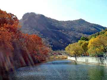 管家婆黑白马报图库，医药压片机